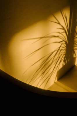 VV-Fuego-Camina-Conmigo-77