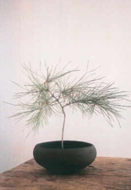 Terra-Collection-Pieces-VV-4