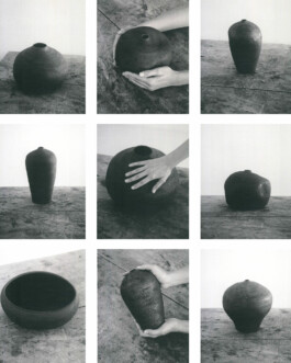 Thumbnail-Terra-Collection-Pieces-VV 