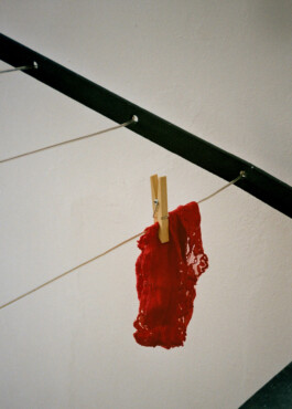 Diary-Photos-Andrea-Montero