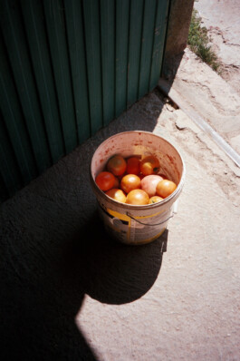 Diary-Photos-Andrea-Montero