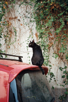 Diary-Photos-Andrea-Montero