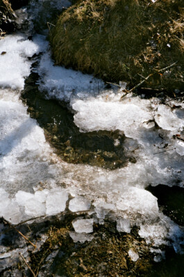 Diary-Photos-Andrea-Montero