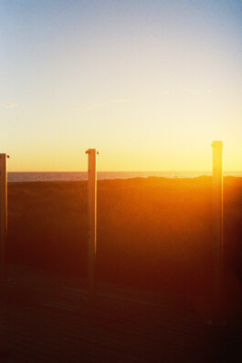 Diary-Photos-Andrea-Montero