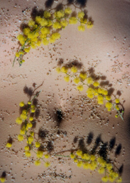 Diary-Photos-Andrea-Montero