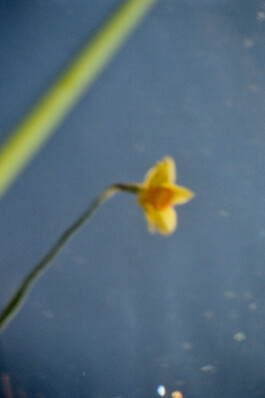 Diary-Photos-Andrea-Montero