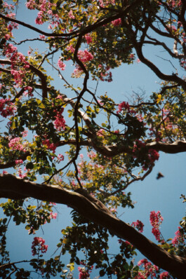 Diary-Photos-Andrea-Montero