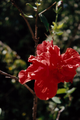 Diary-Photos-Andrea-Montero