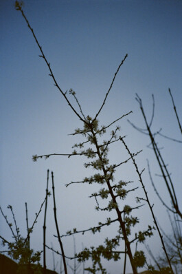 Diary-Photos-Andrea-Montero