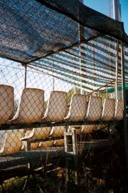 Diary-Photos-Andrea-Montero