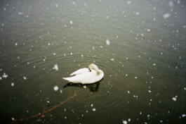 Diary-Photos-Andrea-Montero