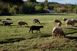 Diary-Photos-Andrea-Montero