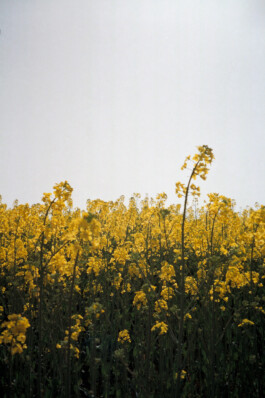 Diary-Photos-Andrea-Montero