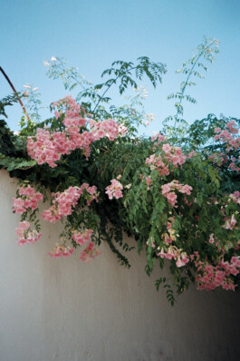 Diary-Photos-Andrea-Montero