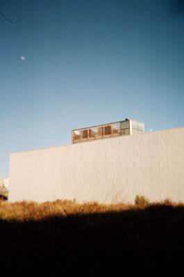 Diary-Photos-Andrea-Montero