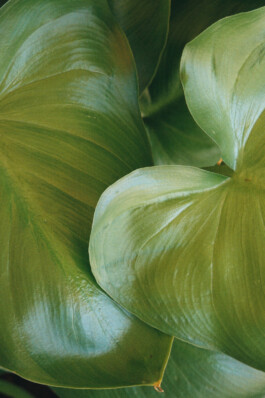 Diary-Photos-Andrea-Montero