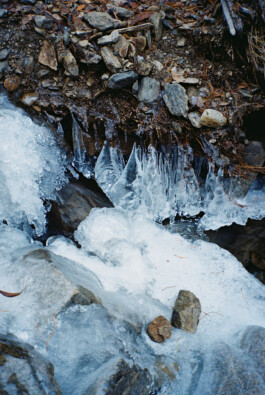 Diary-Photos-Andrea-Montero