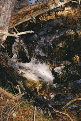 Diary-Photos-Andrea-Montero