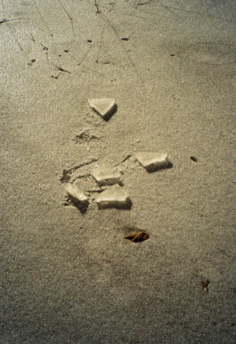 Diary-Photos-Andrea-Montero