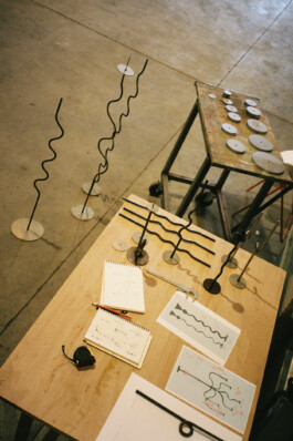 Ritual-Collection-Process-VV