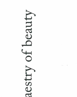 Mariona-Vilanova-Project-Thumbnails 