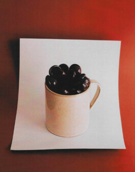 Mery-Escuin-Andrea-Montero-8